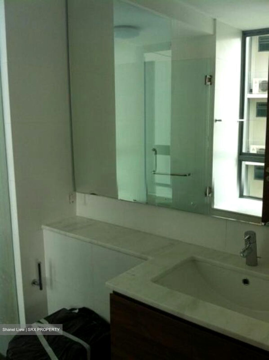 Double Bay Residences (D18), Condominium #501223631